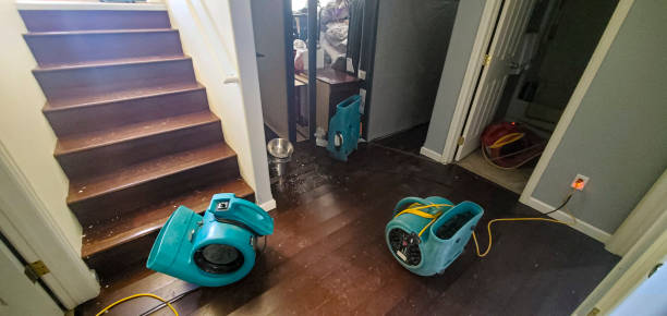 Best Mold removal after water damage  in Galena, IN