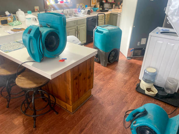 Best 24/7 water damage repair  in Galena, IN