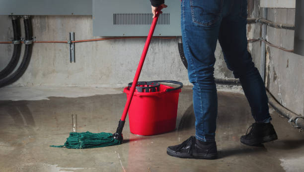 Best Water damage mitigation services  in Galena, IN