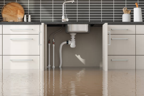 Best Sewage cleanup and water damage restoration  in Galena, IN