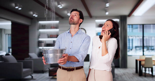 Best Water damage restoration near me  in Galena, IN