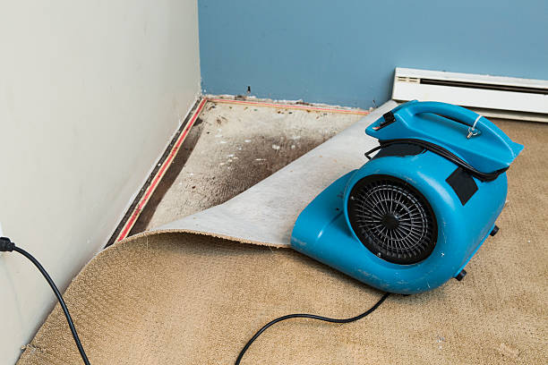 Reliable Galena, IN Water damage restoration Solutions